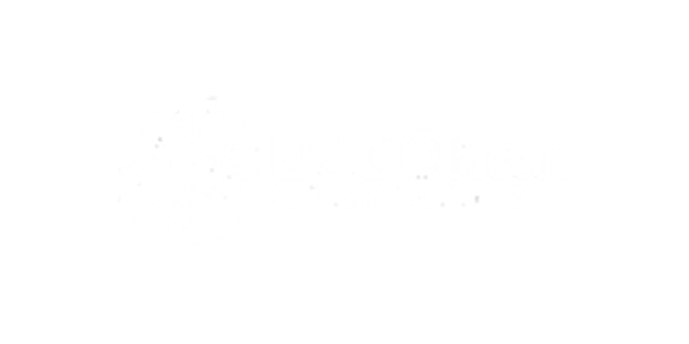 Logo "BUDOKAN SPORTSCHULEN" mit weißem, abstraktem Sternsymbol auf dunkelgrünem Hintergrund.
