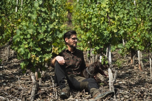 Weingut Comes