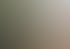 Mann im Van nimmt ein Blatt Papier von einem anderen Mann entgegen.