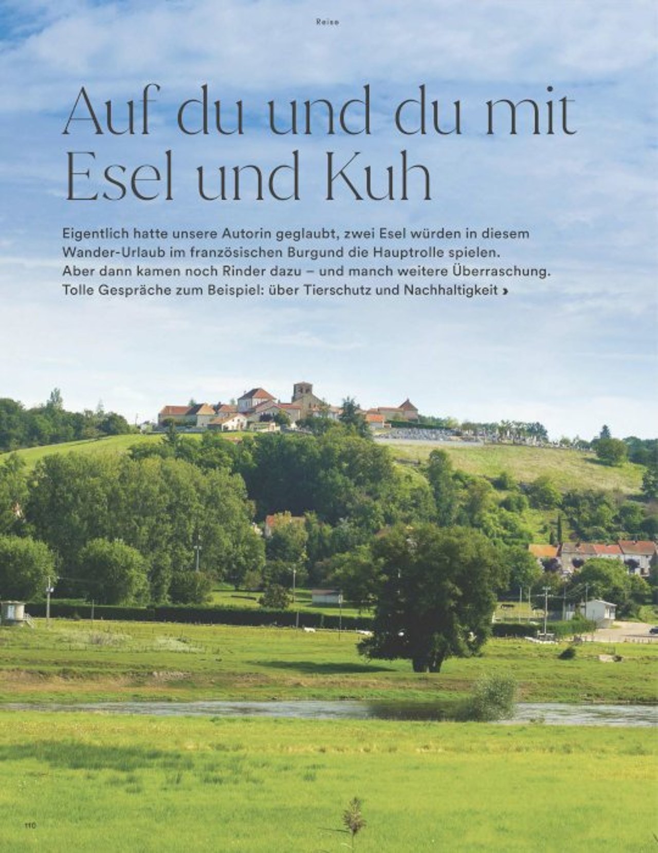Auf du und du mit Esel und Kuh.