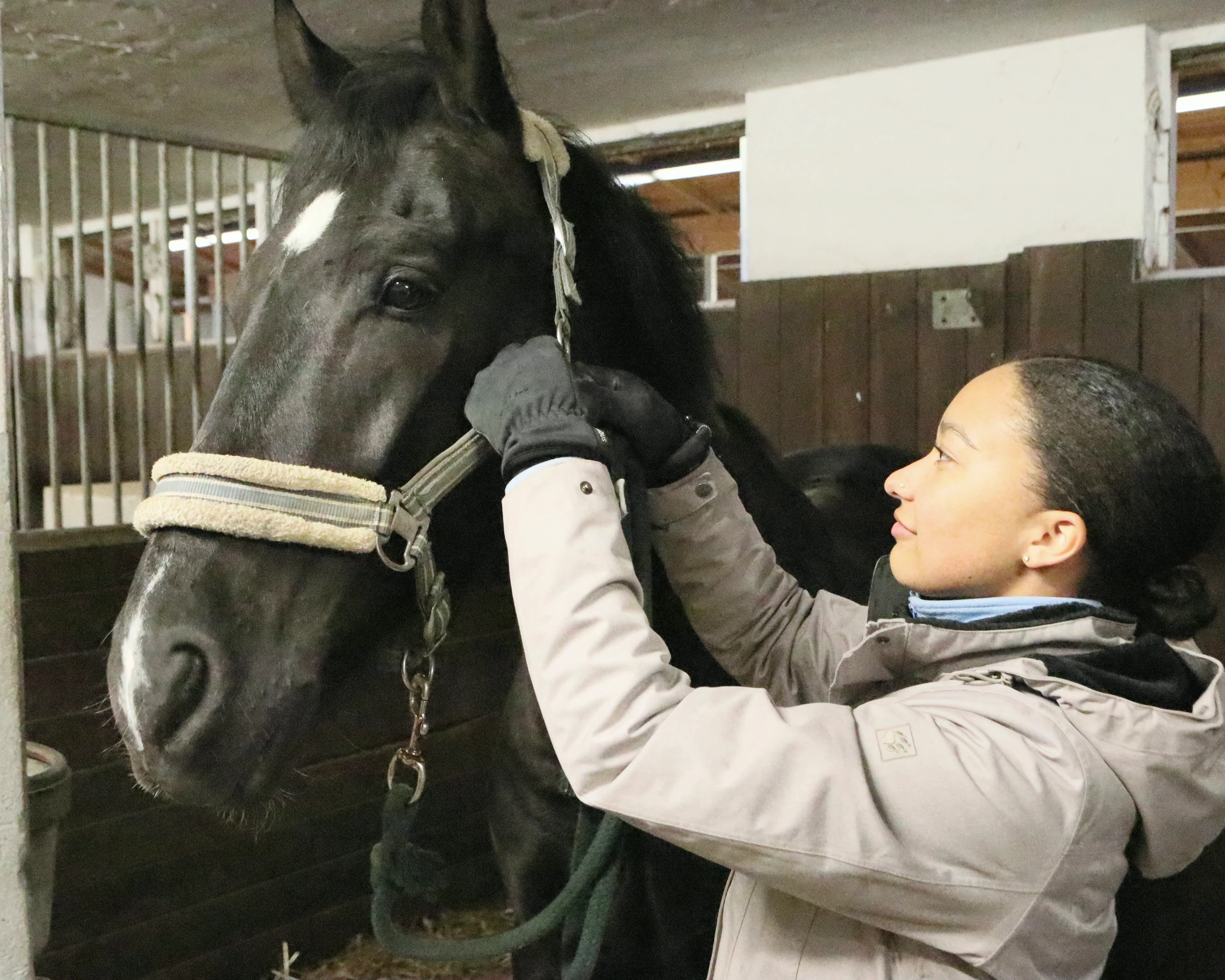 Reiterin im ruhigen Kontakt mit einem Pferd im Stall