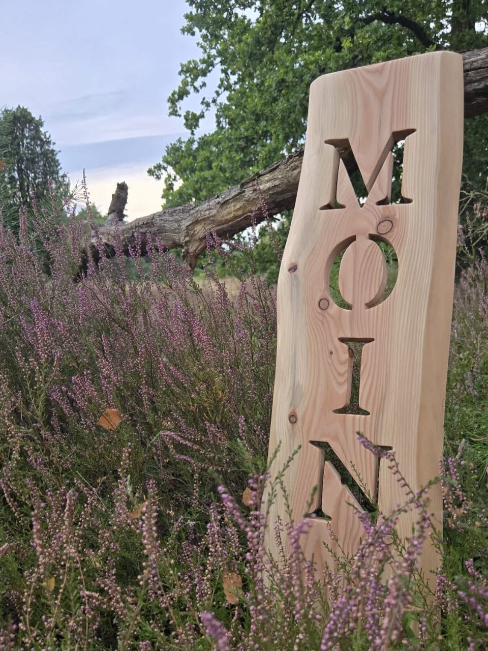 moin-heide.jpg