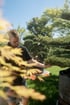 Lukas im Schaugarten, Raab