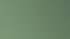 Verschiedene grüne Nahrungsergänzungsmittel-Produkte von "Lebeschde" auf grünem Hintergrund.