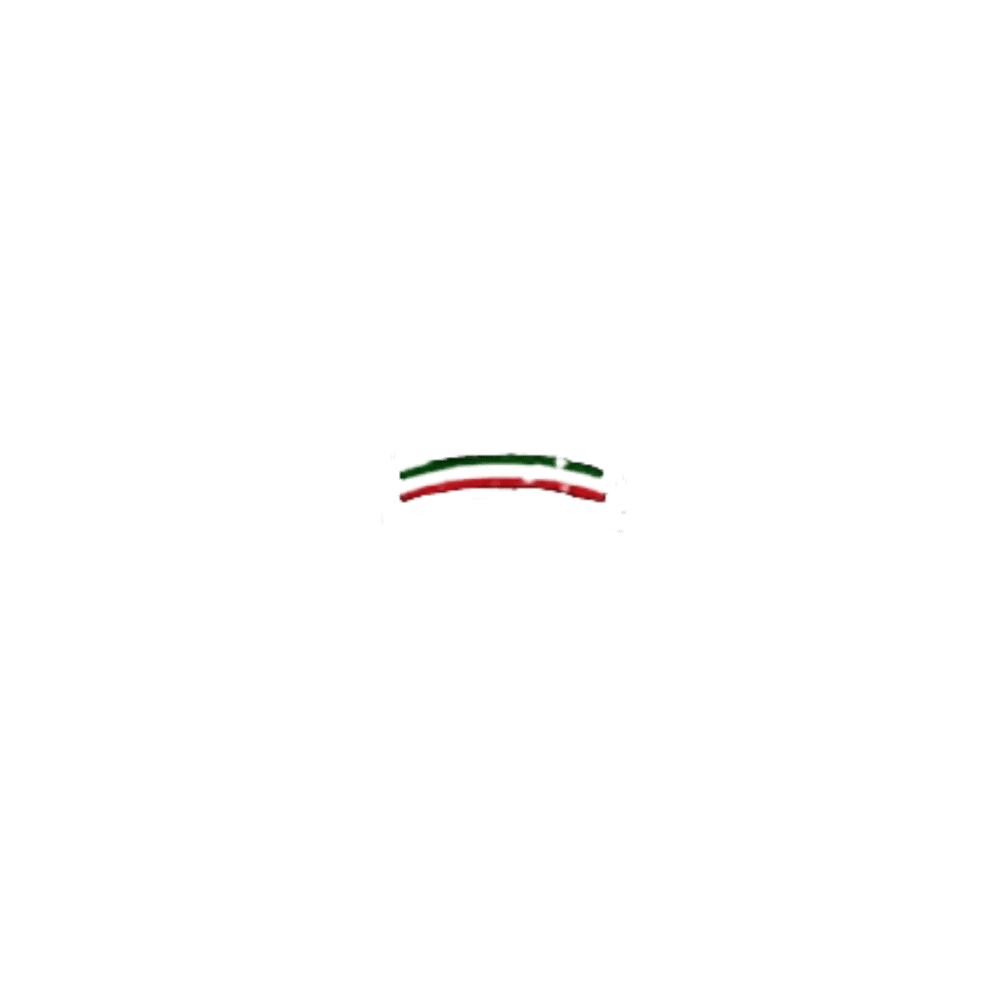 Logo: Bärtiger Koch mit Kochmütze, zwei Hackbeilen, umrahmt von Olivenzweigen, Text "BUON GUSTO lieferservice".