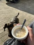 Der Wachhund von Reisewagenworks