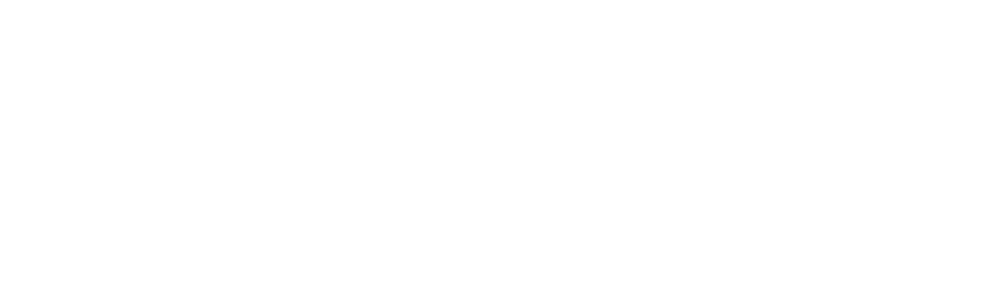 Weißes Logo mit einer Mondsichel in einem Kreis und dem Text „NIGHTLINE IT SOLUTIONS“ auf schwarzem Hintergrund.