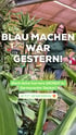 Frau lächelt umgeben von Pflanzen. Text: „BLAU MACHEN WAR GESTERN! Mach deine Karriere GRÜNER im Gartencenter Decker! JETZT BEWERBEN!“
