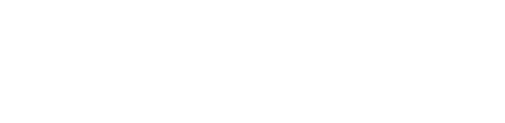 Logo: TELEKOM PARTNER KINZIGTAL by SCHNEBEL IT-SYSTEMHAUS GmbH, mit T Partner Badge.