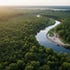 Reforestation credits