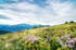 Ausblick in der Region Piesendorf Niedernsill