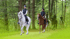 Fünf Reiter auf Pferden, die auf einem Waldweg reiten, das vordere Paar ist scharf, die anderen verschwommen.