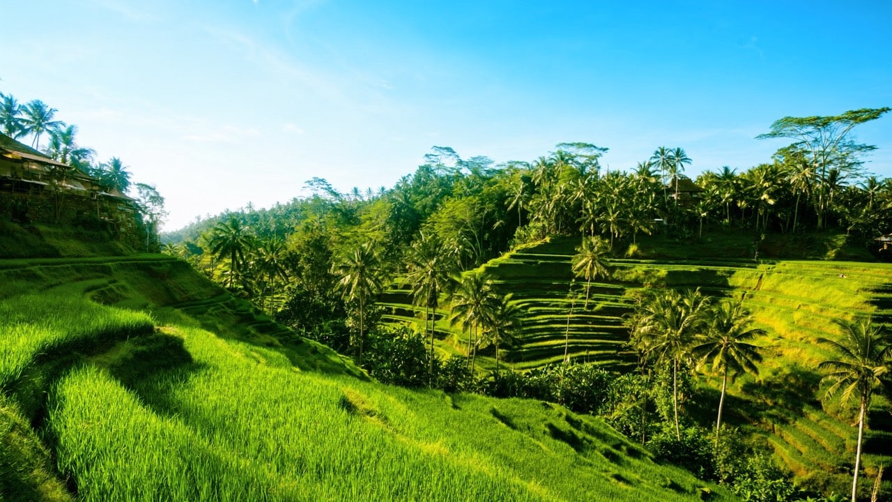 Indonesien / Bali