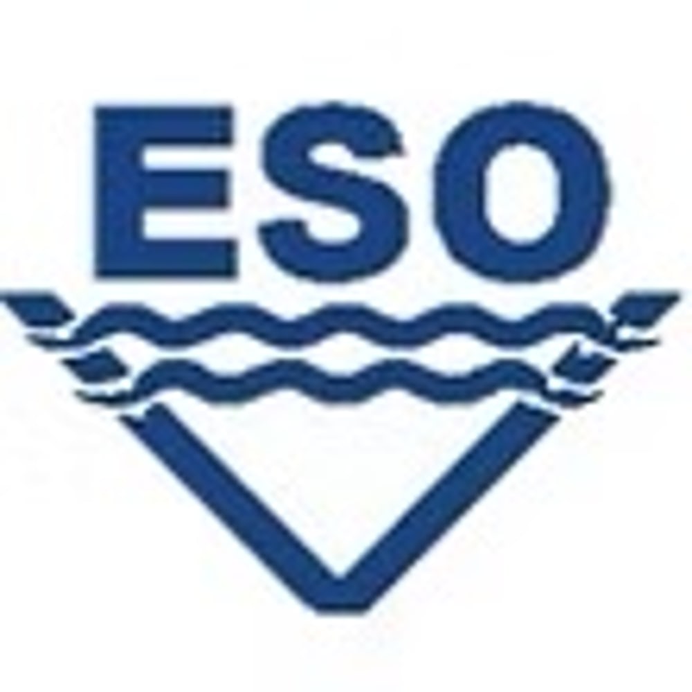 Blaues ESO-Logo mit wellenförmiger Linie und V-Form darunter auf weißem Hintergrund.