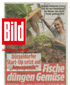 Gemüsegarten mitten in der Großstadt
