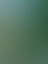 Gartenpflege in Cottbus & Heckenschnitt | Hecken & Halm