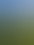 Drei Kühe auf einer grünen Weide mit Bäumen im Hintergrund unter blauem Himmel.