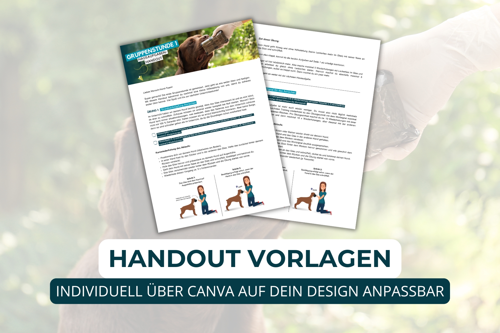 6-wöchiger Nasen Ninja Kurs – Bild 5