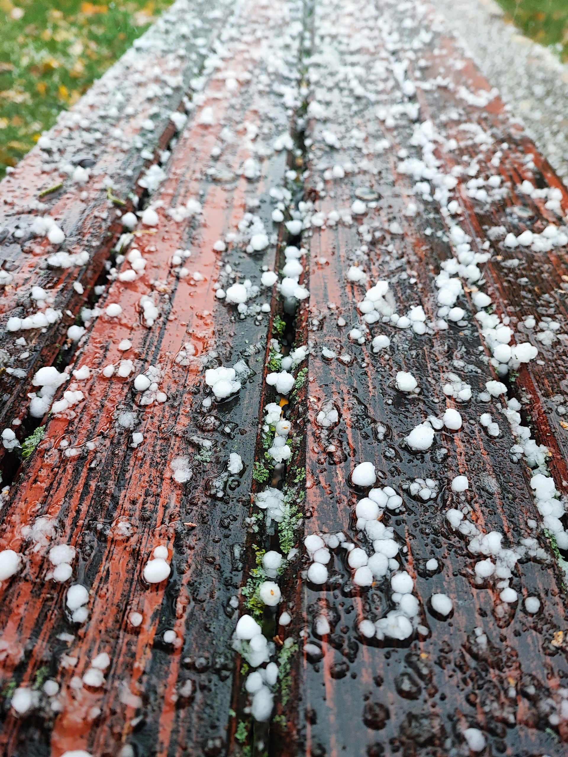 Hailstones on a wet wooden deck after a storm, the first clue in how to spot hail damage on a roof in Plano
