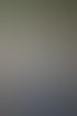 Rechtsanwaltsfachangestellte Petra Pfromm