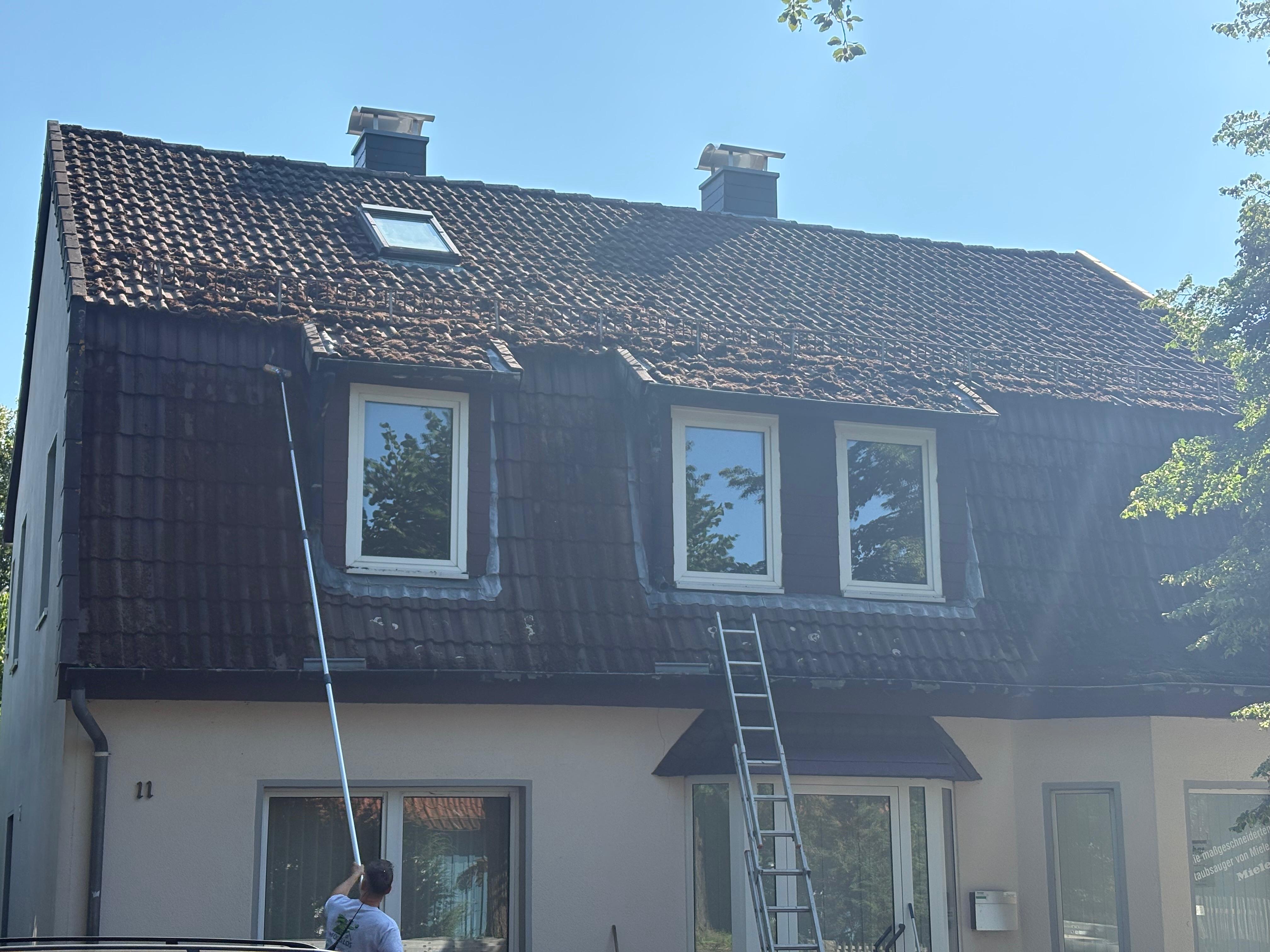Schonende Dachreinigung (Langzeitwirkung) ohne Hochdruck