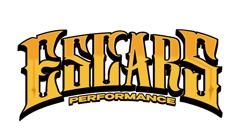 Goldenes Logo mit dem geschwungenen Text "ESLARS PERFORMANCE" auf dunkelgrünem Hintergrund.