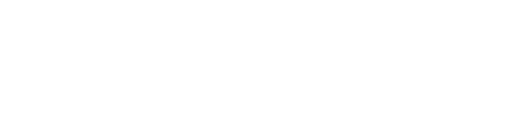 Adviser Logo weiß