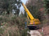 Ein gelber Autokran führt Baumfällarbeiten an einem Waldweg durch.
