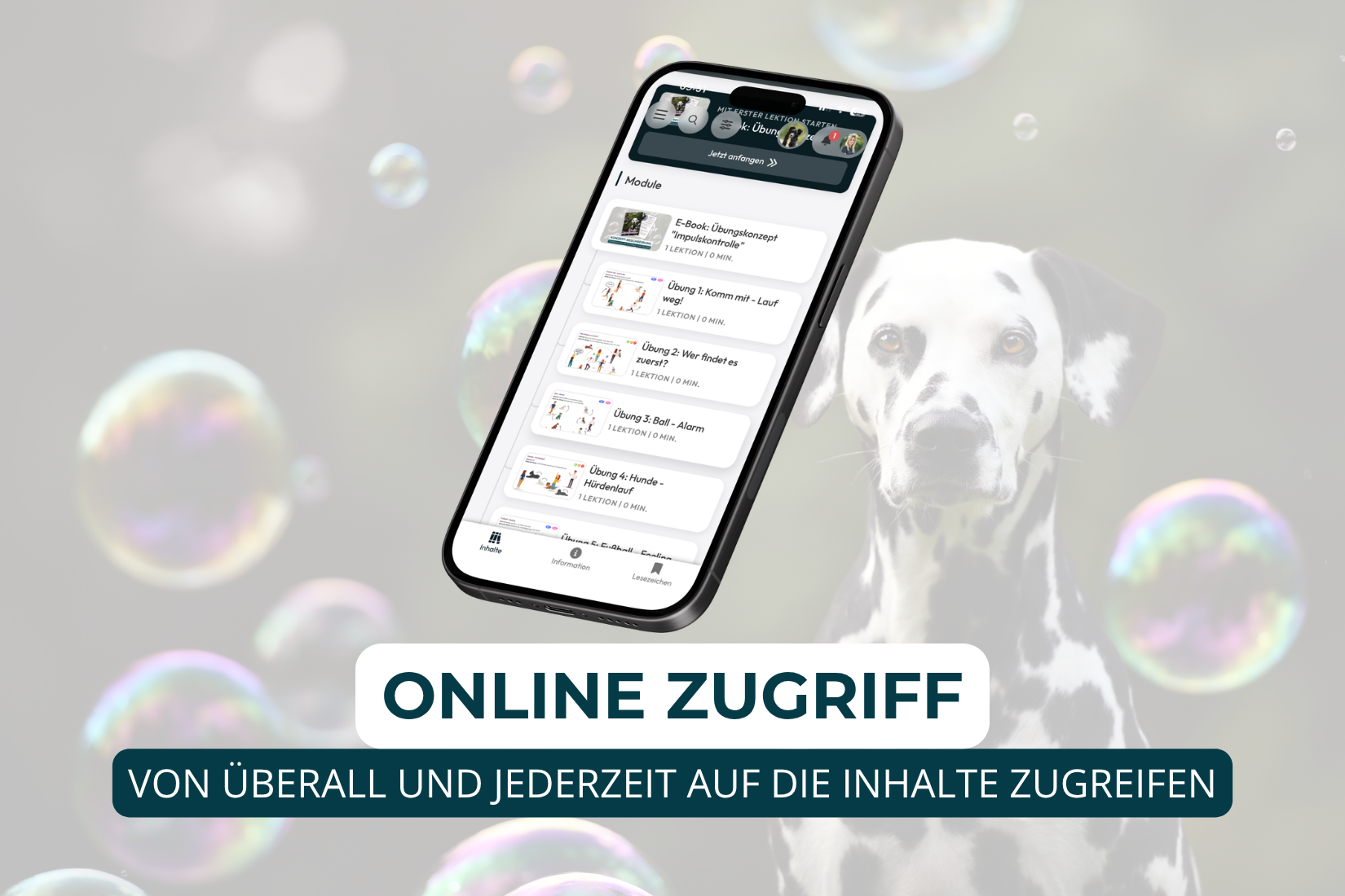 Übungskonzept Impulskontrolle – Bild 5