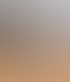 Eine Webseite mit dem Titel „Die Cleaner“ zeigt ein Ziegeldach mit Solarpaneelen und Text über Dach- und Steinreinigung.