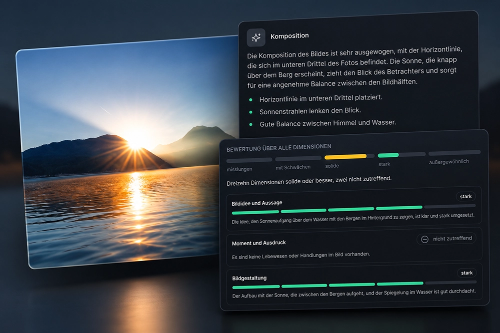Analyse im Bildkritiker