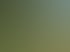 Eine frisch geschnittene, grüne Hecke im Garten mit Schnittgut auf dem Rasen vor Wohnhäusern unter blauem Himmel.