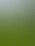 Gartenneugestaltung