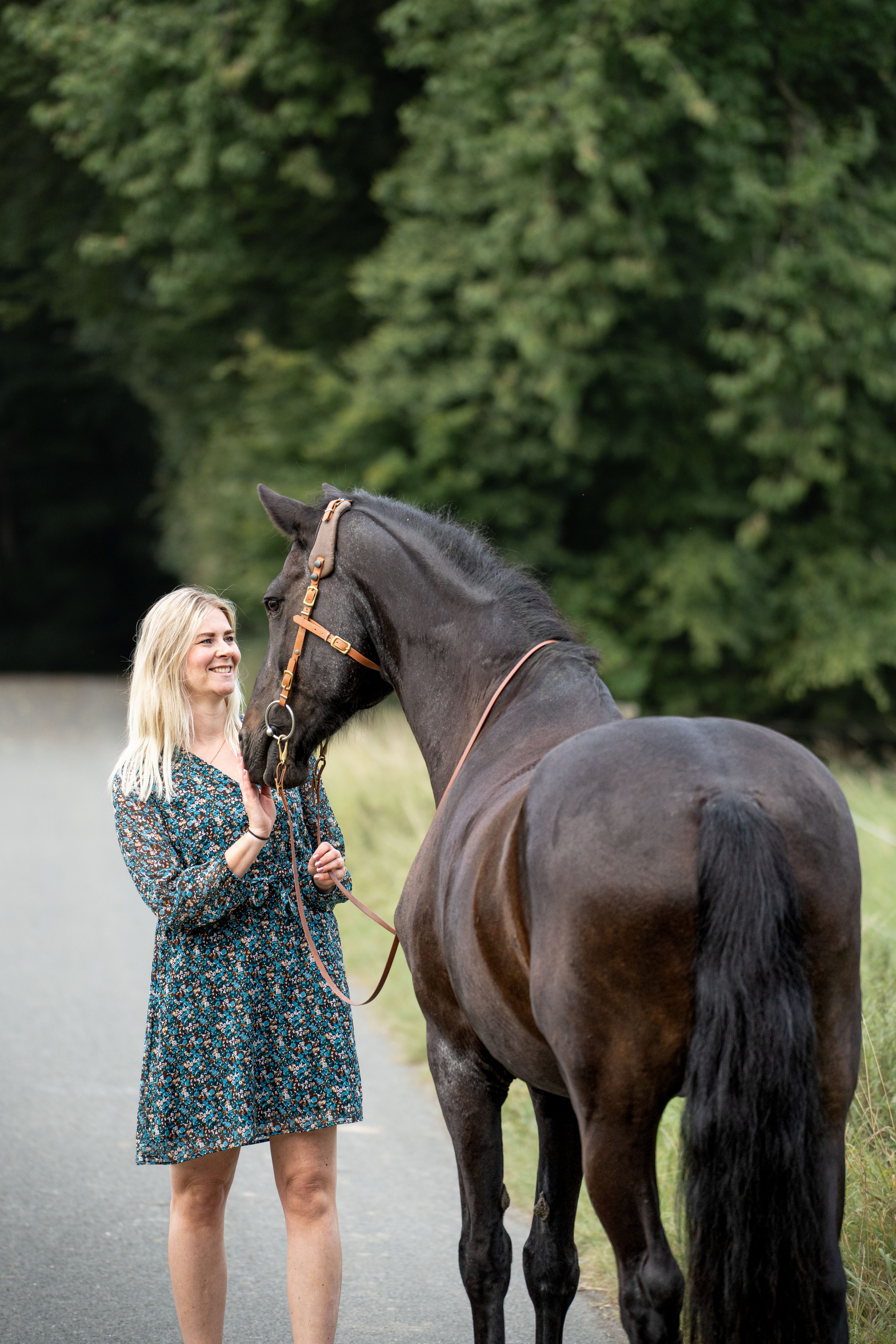 Pferdefotografie von Katharina Middendorp
