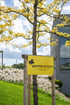 Gelbes Schild von Garten Schmid an einem Baum mit gelben Blättern vor einer Blumenwiese und einem modernen Gebäude.