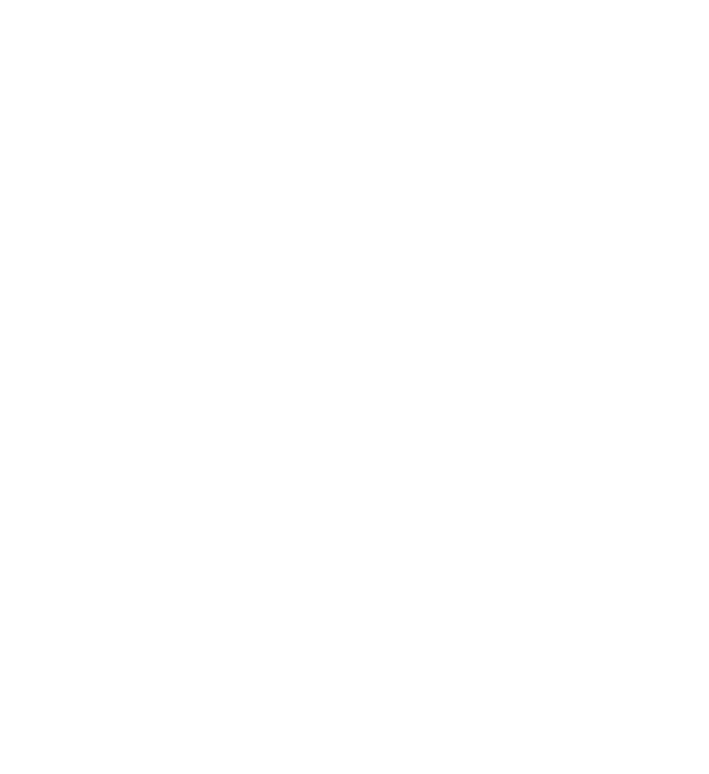 NIRO und KÖGL Logos mit Schriftzug "OFFIZIELLER VIP-PARTNER" und 4 Sternen in Rot auf Grün.