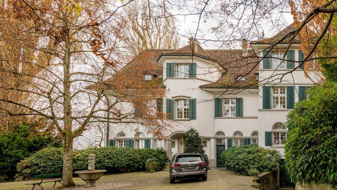 Haus in Richterswil