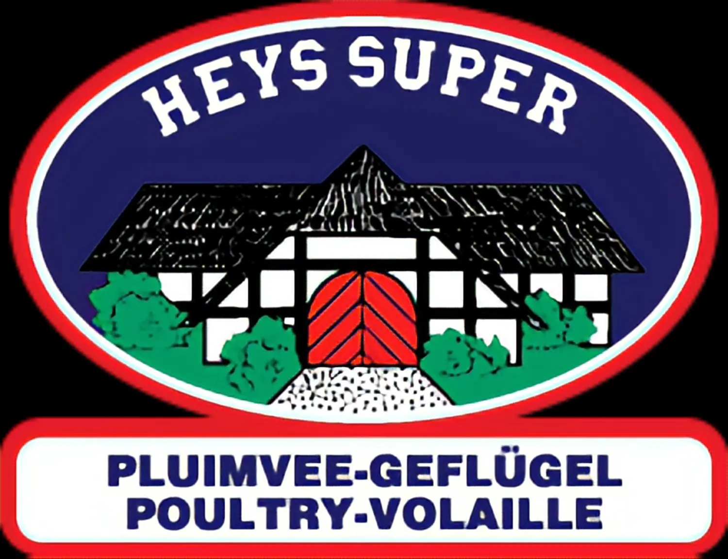 Heijs