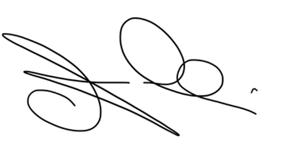 Schwarze Unterschrift mit zwei Hauptwirbeln und leichten Punkten auf einem dunkelgrünen Hintergrund.