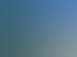 Blendschutzzaun entlang einer Autobahn