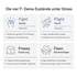 Die vier Stresszustände Fight, Flight, Freeze und Fawn mit ihren typischen Erscheinungsformen im Alltag