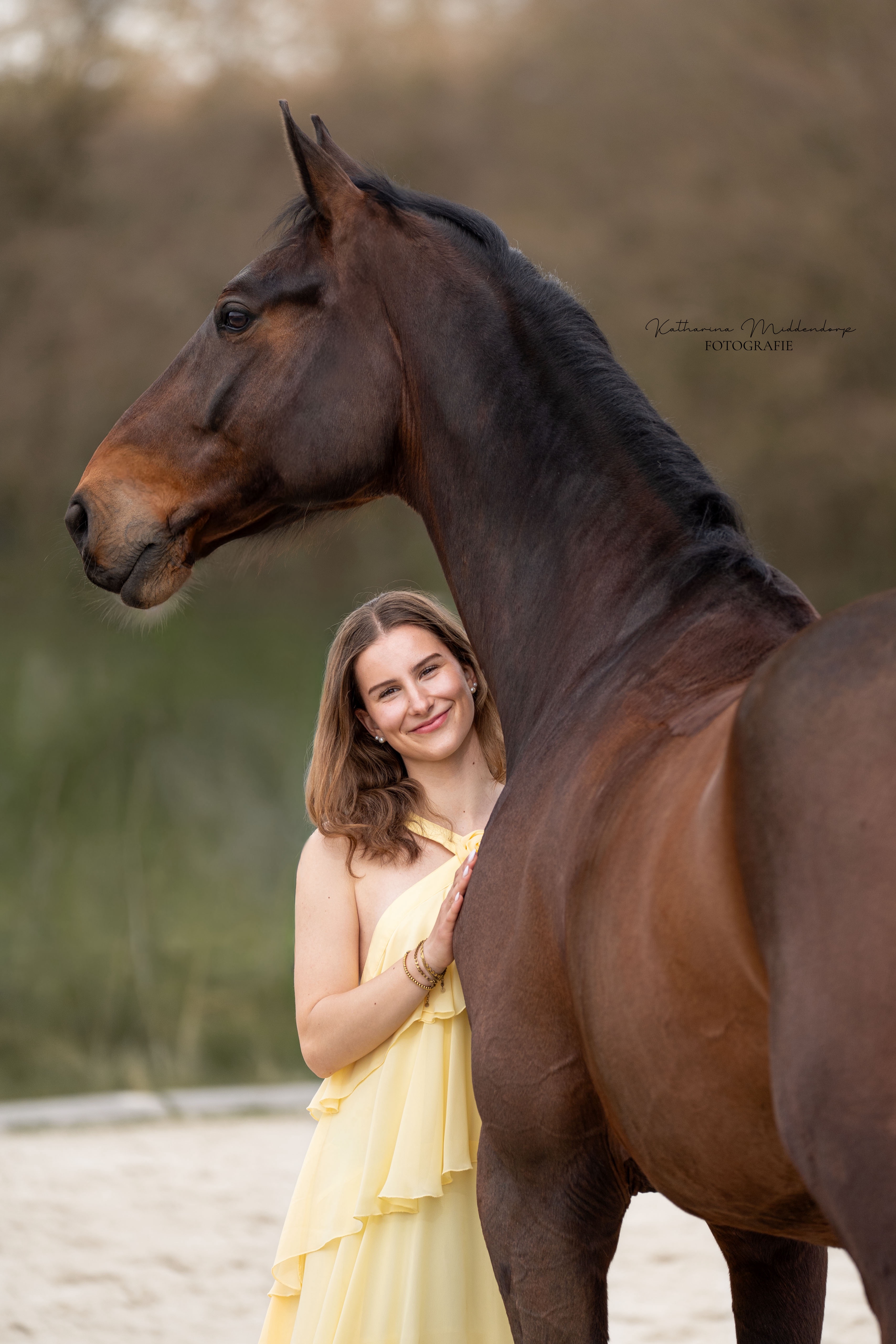 Pferdefotografie von Katharina Middendorp