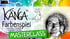KÄNGA Farbenspiel Masterclass mit Jörg Lehmann, motivation-art.de; Känguru-Logo, bunter Hintergrund.