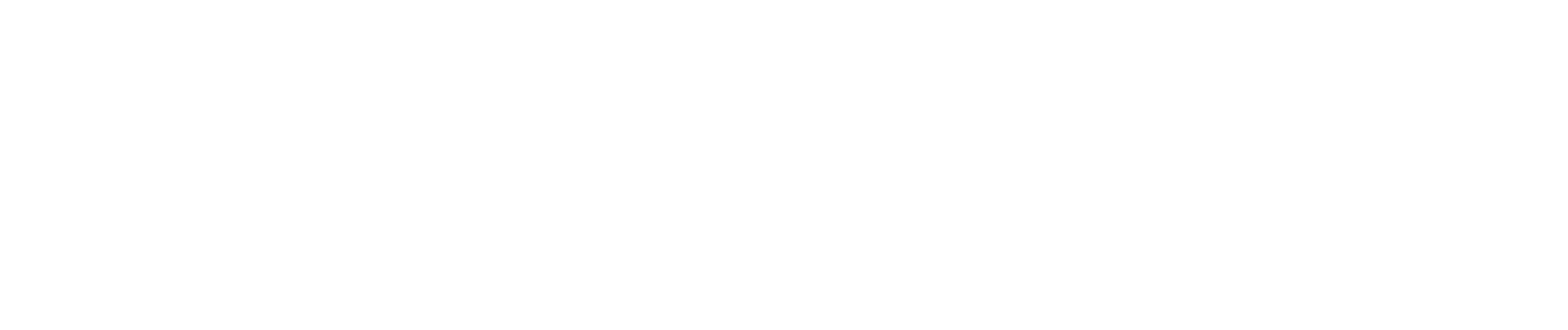 MZO AG