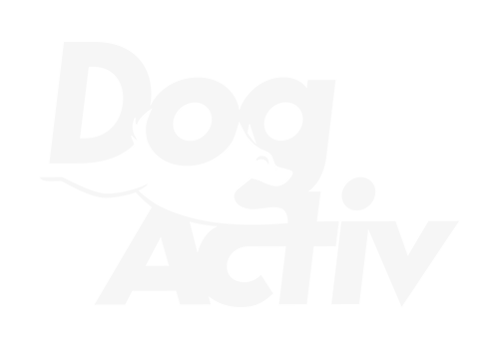 Weißes DogActiv Logo auf schwarzem Grund mit der Silhouette eines springenden Hundes zwischen den Schriftzügen.