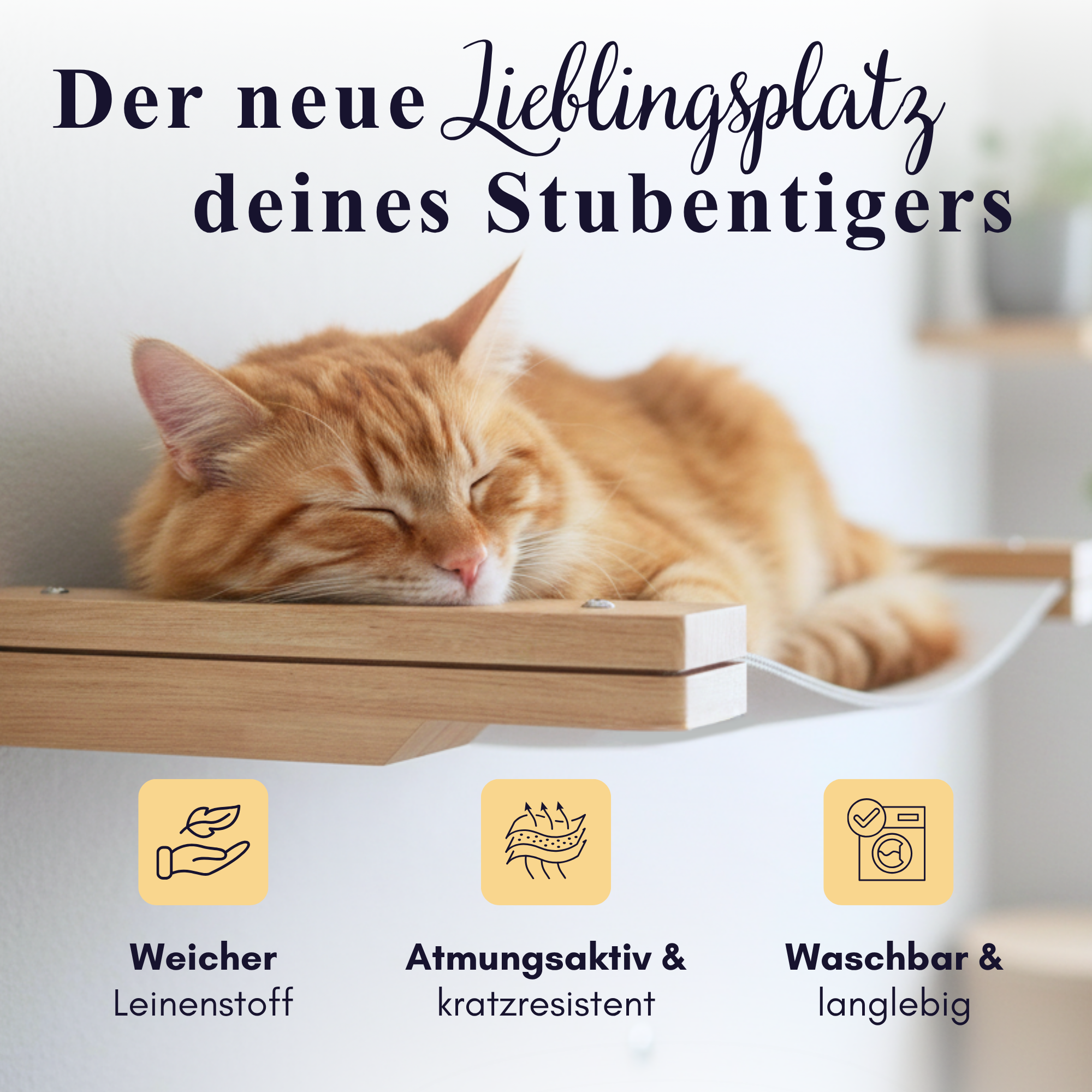 Projekt Eins