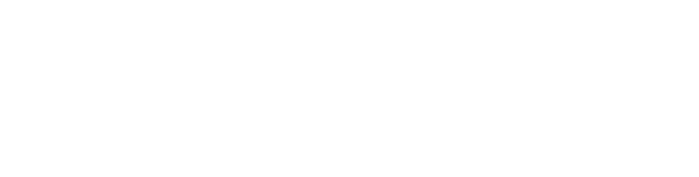 Leib Immobilien
