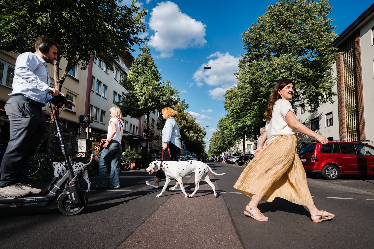 Foto: Verkehrsachse/Haltestelle in Köln II, z. B. Aachener Straße oder KVB-Haltestelle