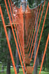 Hängebrücke aus Holzbohlen und leuchtend orangefarbenen Seilen in einem Kletterwald zwischen hohen Nadelbäumen.
