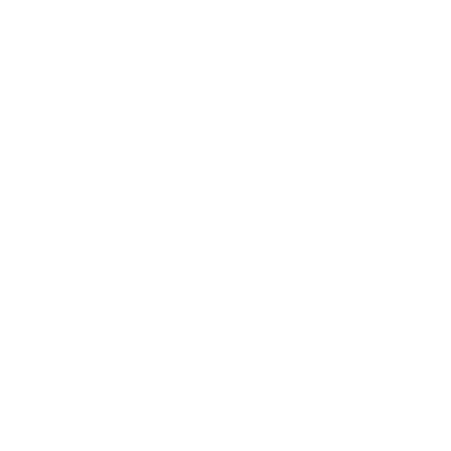 Fahrrad XXL